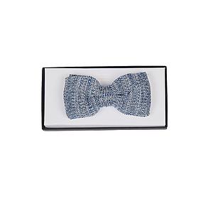Ascot strikje heren blauw