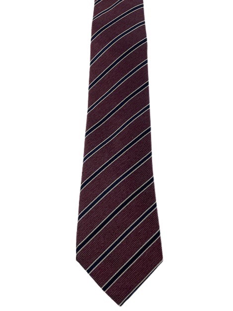 Corneliani men's tie divers